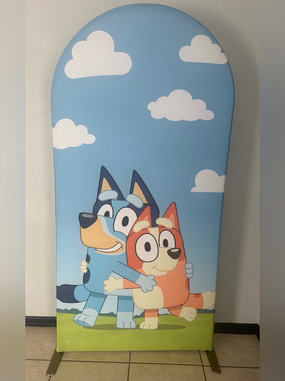Bluey Arch Backdrop Cover